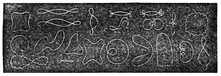 Dr. Young's traces — the looped and knotted curves drawn by a lit point on a struck piano wire, each one a different mixture of the whole string's swing with the partial vibrations riding on it.