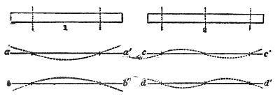 A bar free at both ends. In 1 the dotted lines a a′ and b b′ show the first mode — two nodes and three vibrating parts; in 2 the lines c c′ and d d′ show the second, with three nodes and four parts. The upright dashes on the bars above mark where the nodes fall.