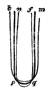 The fork sounding its deepest note. One prong swings between the limits b and n, the other between f and m, and the two nodes p and q lie low down where the prongs turn into the bend.