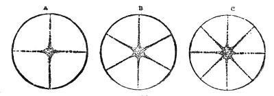 A circular plate divided by sand. In A the sand lies along two diameters, giving four vibrating segments and the deepest note; in B it forms a six-rayed star; in C an eight-rayed one, each finer division sounding a higher note.