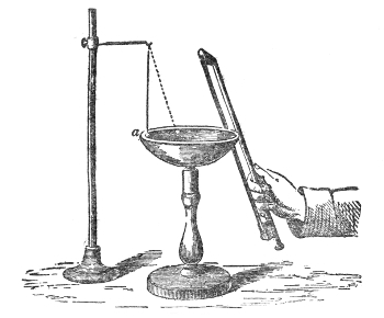 The bell tried with a hanging ball. A little ball a on a string hangs against the inner surface of the inverted bell — here a hemispherical glass on its stand — and is knocked to and fro far more violently when it rests against a vibrating segment than against a node.