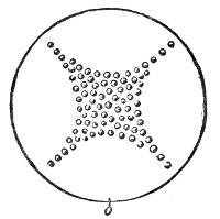M. Melde's four-part figure. The little spheres of ether, rolling on their own vapour, have crowded away from the four vibrating segments and gathered along the cross of nodal lines.