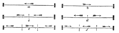 A wire fixed at both ends, vibrating lengthwise. In a and b the pulse (the arrows show which way it runs) sweeps the whole length with no node; in c and d one node splits it into two segments; in e and f two nodes split it into three. The nodes are marked by dotted crosswise lines.