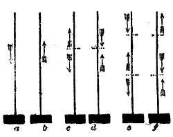 A rod fixed in its block, vibrating lengthwise. In a and b it simply lengthens and shortens with no node; in c and d a node stands a third of the way down from the free end; in e and f there are two nodes, the upper one a fifth of the way down. Arrows show which way the pulses run.