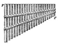 Pan's pipes, p p′ — a graded row of stopped tubes bound side by side, each sounding the fundamental note that belongs to its own length.