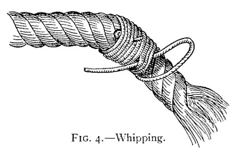 FIG. 4.—Whipping. — A rope end being whipped: turns of twine are wound close around the rope, and a loop of twine stands out from the last turns, ready for its free end to be drawn tight.