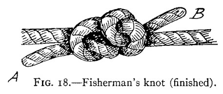 FIG. 18.—Fisherman's knot (finished). — The fisherman's knot drawn taut: the two overhand knots have slid together into one compact knot, with the ends A and B standing out on either side.