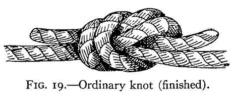 FIG. 19.—Ordinary knot (finished). — Two heavy ropes joined in a compact, rounded knot, the ends lying back beside the standing parts on either side.