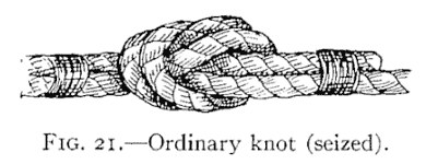 FIG. 21.—Ordinary knot (seized). — The ordinary knot drawn tight, with each end bound to the opposite standing part by a seizing of twine on either side of the knot.