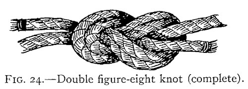 FIG. 24.—Double figure-eight knot (complete). — A thick, rounded knot formed by two parts running side by side through a figure eight, drawn taut, with an end coming out at each side.