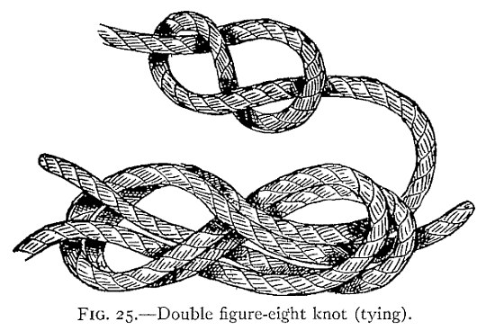 FIG. 25.—Double figure-eight knot (tying). — Above, a single figure-eight knot tied loosely in one rope. Below, the other rope has followed round it through both loops, so that the whole figure eight lies doubled.