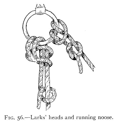 FIG. 56.—Larks' heads and running noose. — Two ropes made fast to a hanging ring. On the left the rope is looped through the ring and its two parts hang down together, held by a knot lower down; on the right a bight through the ring is hitched back round its own part.