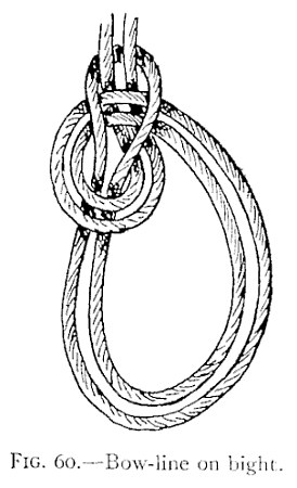 FIG. 60.—Bow-line on bight. — A bow-line tied in the doubled rope: two loops lie together below the knot, and the doubled standing part rises above it.