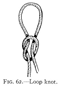 FIG. 62.—Loop knot. — A loop standing up from a simple knot tied in the doubled rope, the two parts hanging down below the knot.