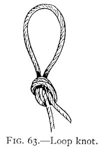 FIG. 63.—Loop knot. — A loop standing up from a knot drawn tight close under it in the doubled rope, with the two parts hanging below.