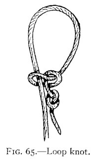 FIG. 65.—Loop knot. — A loop above a knot in which one part is hitched round the other, a small turn standing out lower down and the end hanging free.