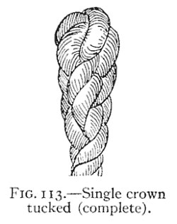 FIG. 113.—Single crown tucked (complete). — The finished crown-ended rope: the strands halved and tucked again, so the end is closed into a neat, rounded, tapering finish with no loose ends showing.