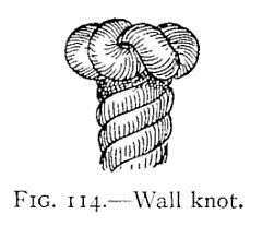 FIG. 114.—Wall knot. — The finished wall knot seen from the side: the three strands form rounded bights around the top of the rope, with the laid standing part running down beneath.