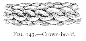FIG. 143.—Crown-braid. — A length of crown-braid lying on its side, made of crowns laid one on another so the surface shows rows of rounded, overlapping bights.
