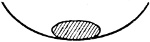 The drop lying in the smoked watch-glass, drawn in section, flattened by its own weight into a broad oval.