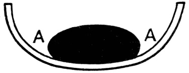 A flattened black drop lying in a watch-glass, drawn in section, with the sharply curved edges of the drop marked A on either side.