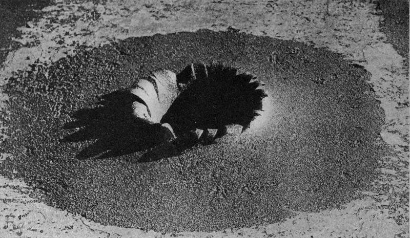 Permanent Splashes left where a Projectile has entered an Armour-plate. (See Chapter 10.) — The steel round the hole has been thrown up into a ragged crater of curled, pointed petals, standing in the middle of a broad, shallow dished hollow in the plate.