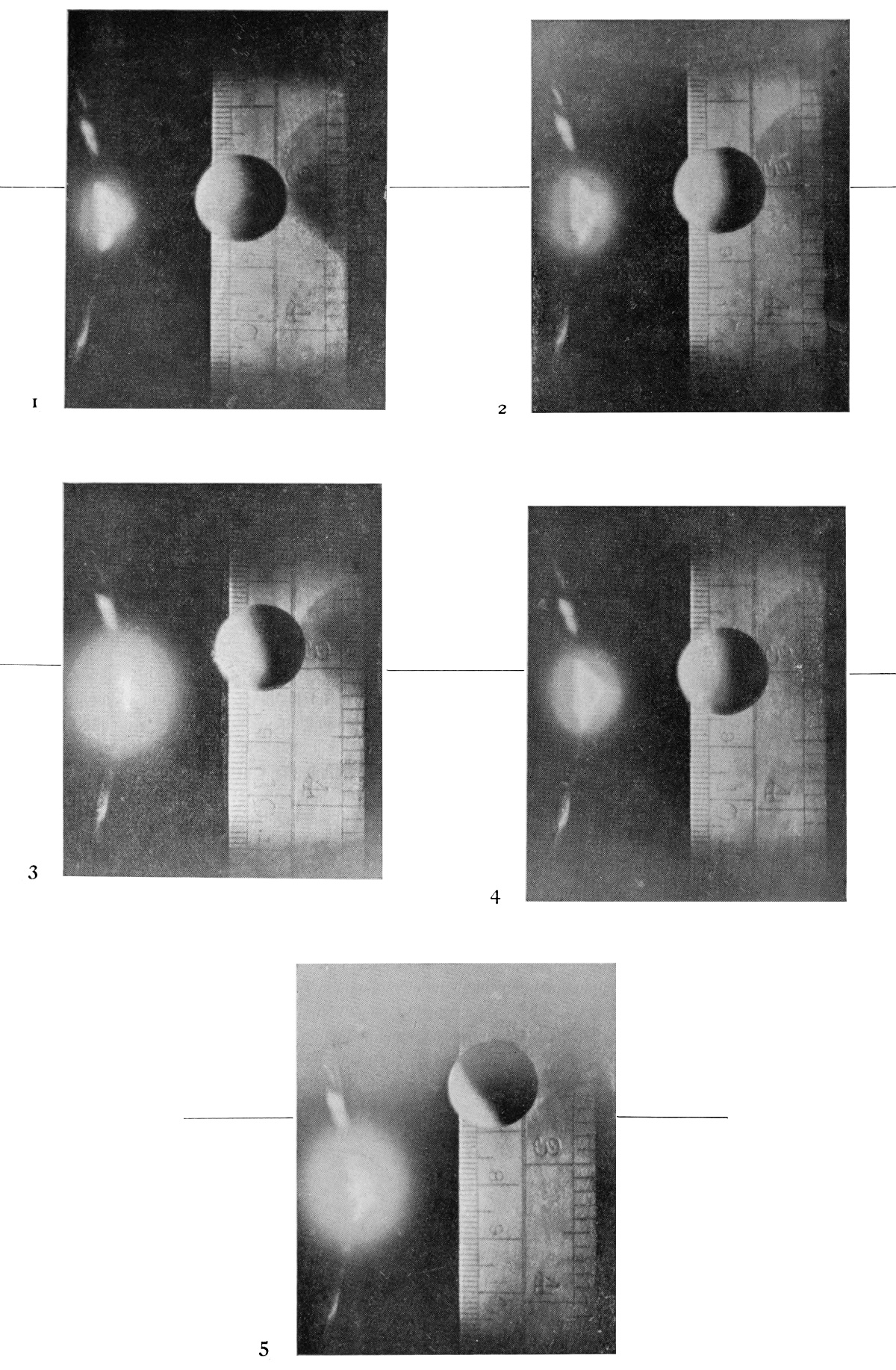 PLATE II Photographs taken to test the accuracy of the "timing." — A solid sphere falling past a metre scale, photographed five times, with ruled margin lines marking its position; the blurred spark glows to its left, larger and brighter in Nos. 3 and 5.