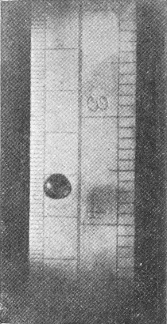 1 — The falling drop, dark against the graduated scale, caught a little flattened as it passes the marks.
