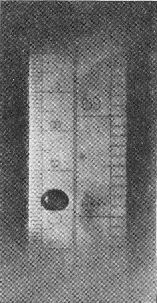 2 — The drop in a broad, flattened oval shape, a few millimetres lower down the scale than in the first photograph.