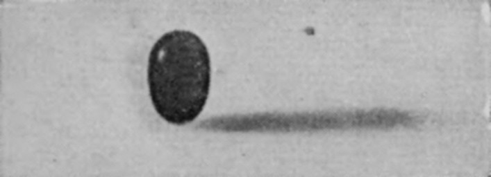 1 — The water drop, showing dark against the white liquid, hangs just above the surface, slightly elongated upright, with its shadow thrown on the surface beside it.