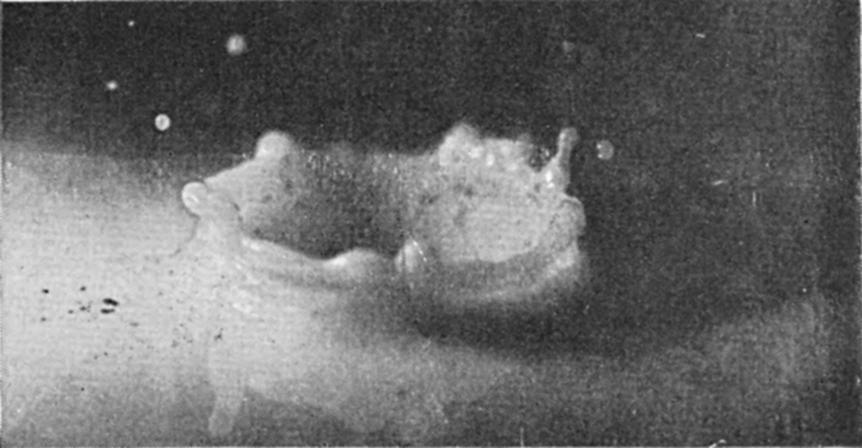 7 0·040 sec. — The crater subsiding and widening into a broad, irregular bowl, its lobed walls beginning to slump back towards the surface.