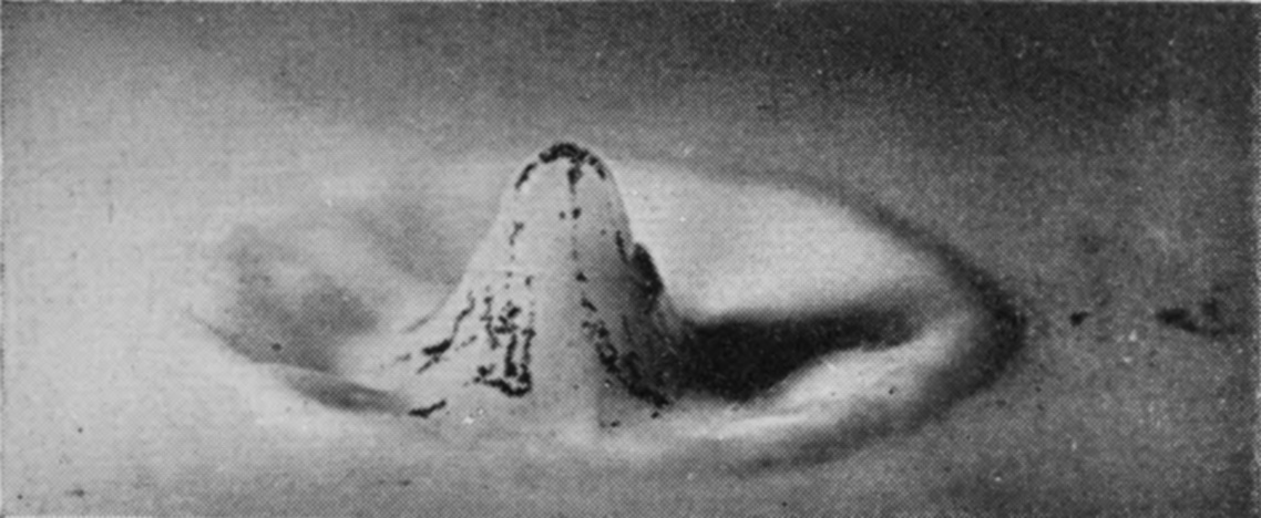 11 0·073 sec. — The central column has risen into a steep cone, its sides and summit spotted with lamp-black, standing in the middle of the wide ring.
