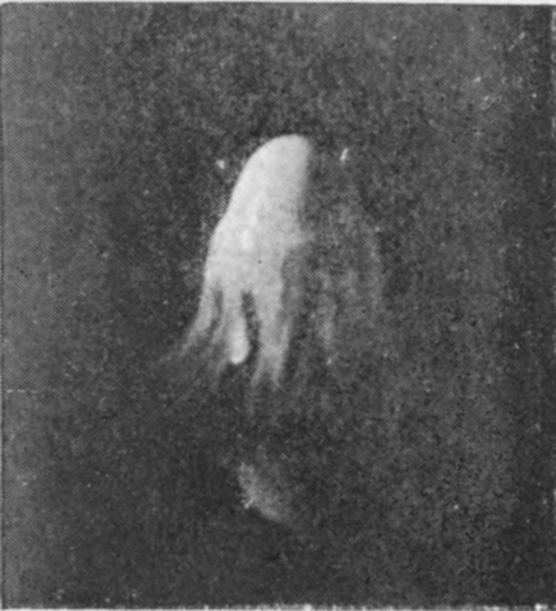 12 — Only the white head of the column shows, trailing streaks below it and fading into darkness, because here a drop of milk fell into water and the clear water beneath is invisible.
