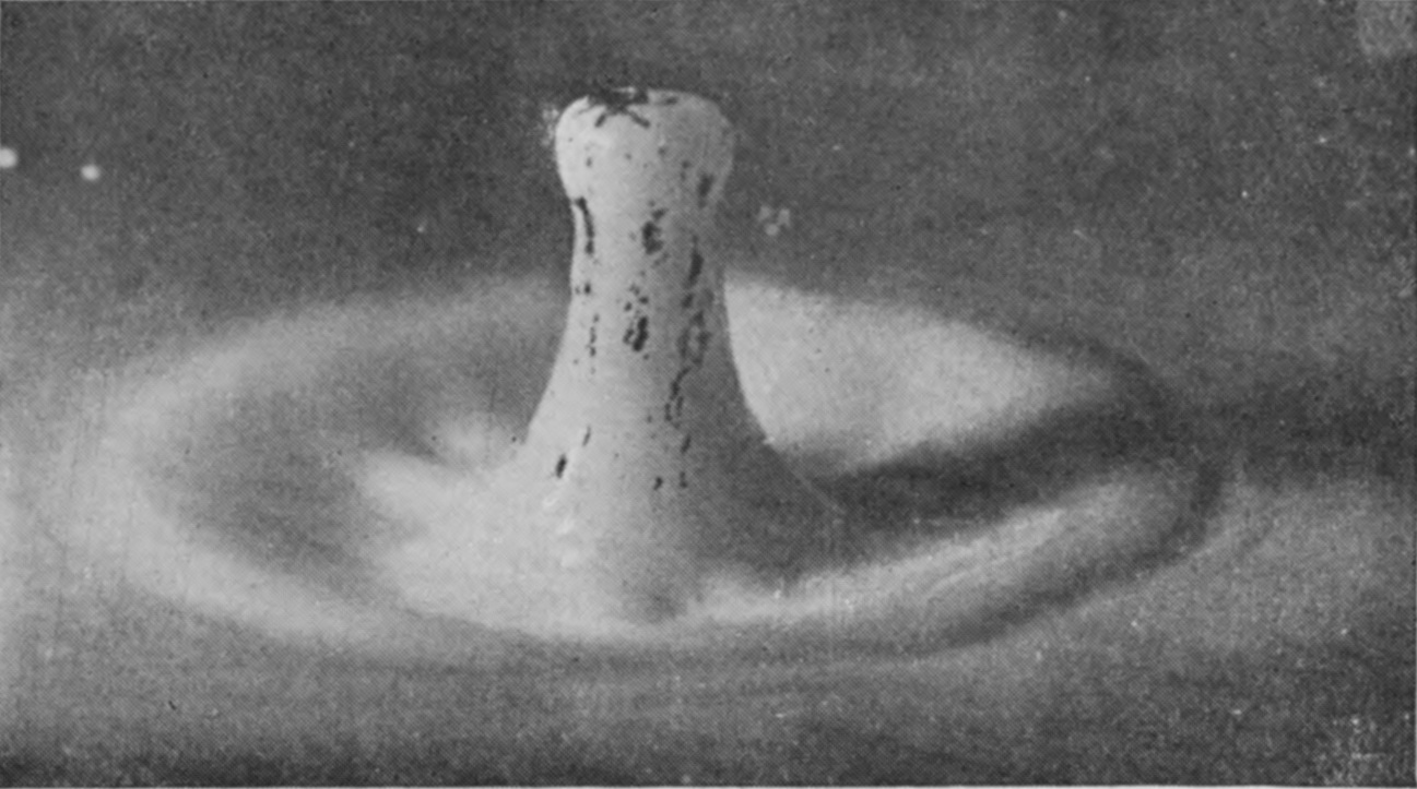 14 0·103 sec. — The column taller and more slender, rising from a spreading base, with the dark marks gathered about its swollen head.