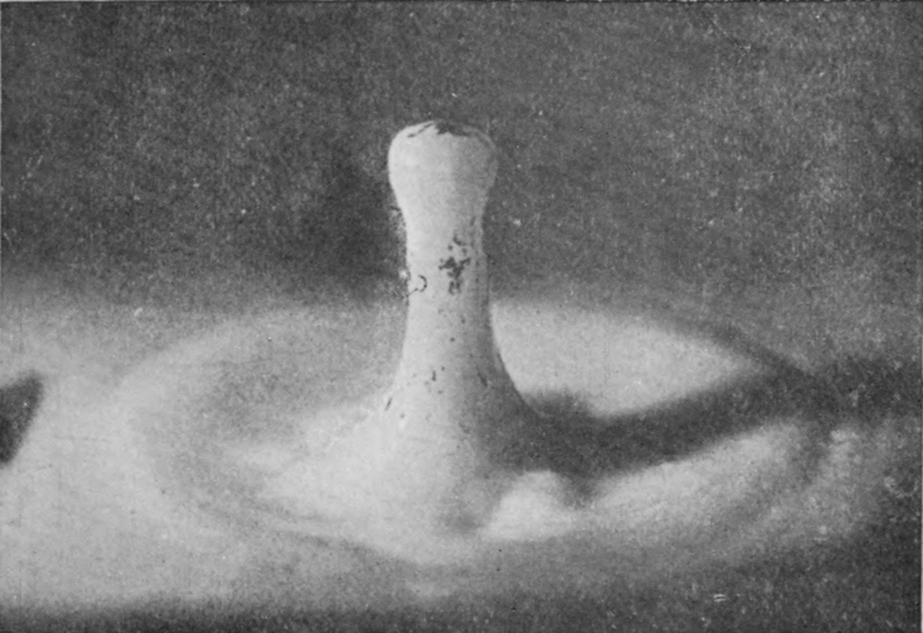 15 0·116 sec. — The column at its greatest height, a tall pillar on a wide, spreading base, with a slightly swollen head.