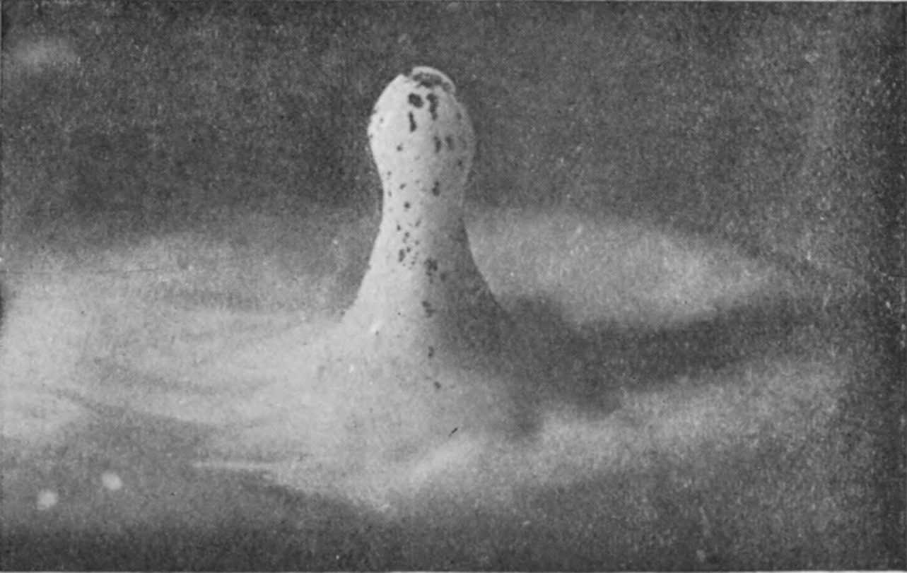16 0·129 sec. — The head of the column swells into a round knob above a narrower neck, as though beginning to separate.
