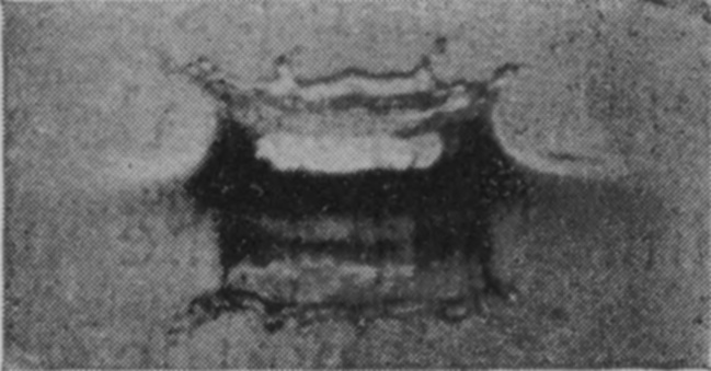 2 0·004 sec. — The crater walls have risen sharply round the drop and the rim is breaking into small lobes, with the inverted image of the crater reflected below.