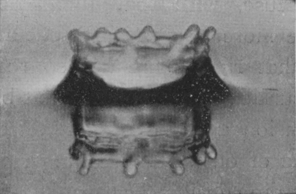4 0·018 sec. — The crater at about its full height, the rim scalloped into a row of rounded lobes, each traced again in the reflection as a lobe tipped with a drop.