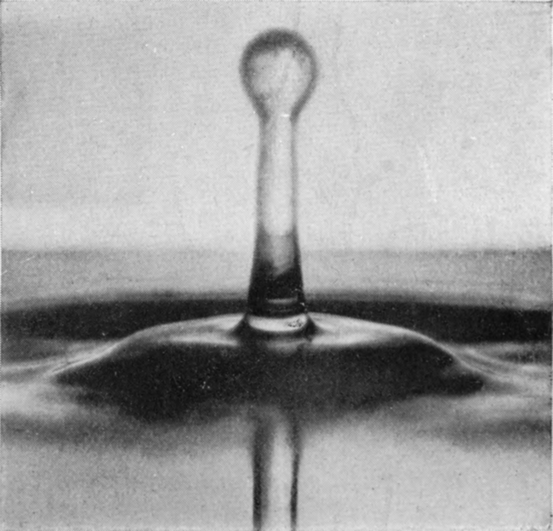 11 a 0·139 sec. — The same stage on a surface cleaned only by skimming: a tall column ending in a round bulb rises from a smooth mound, with no depression yet round its base.