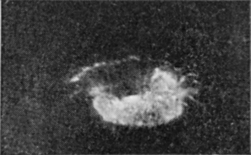 2 0·002 sec. — Milk streams up the vertical sides of the pit, while a fine line of light above the drop marks the circular cliff-like edge of the undisturbed water.