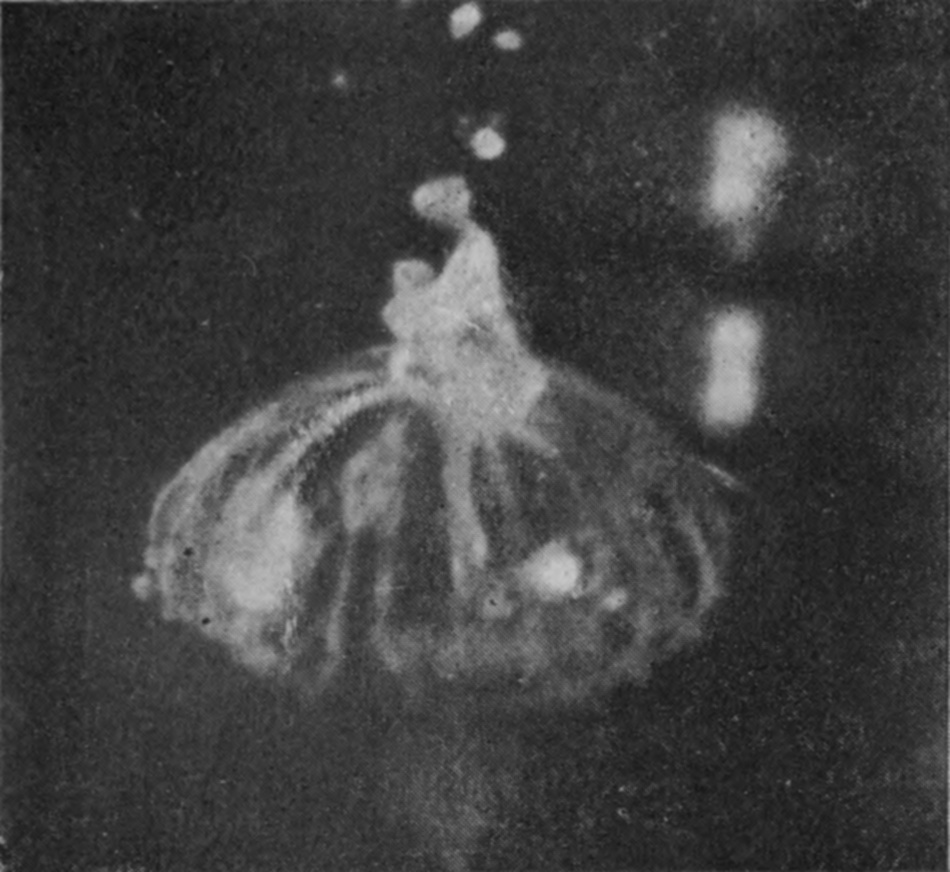 8 0·054 sec. — The bubble is ribbed with vertical furrows, and an irregular mass of liquid rises from its summit, throwing a line of drops upward.