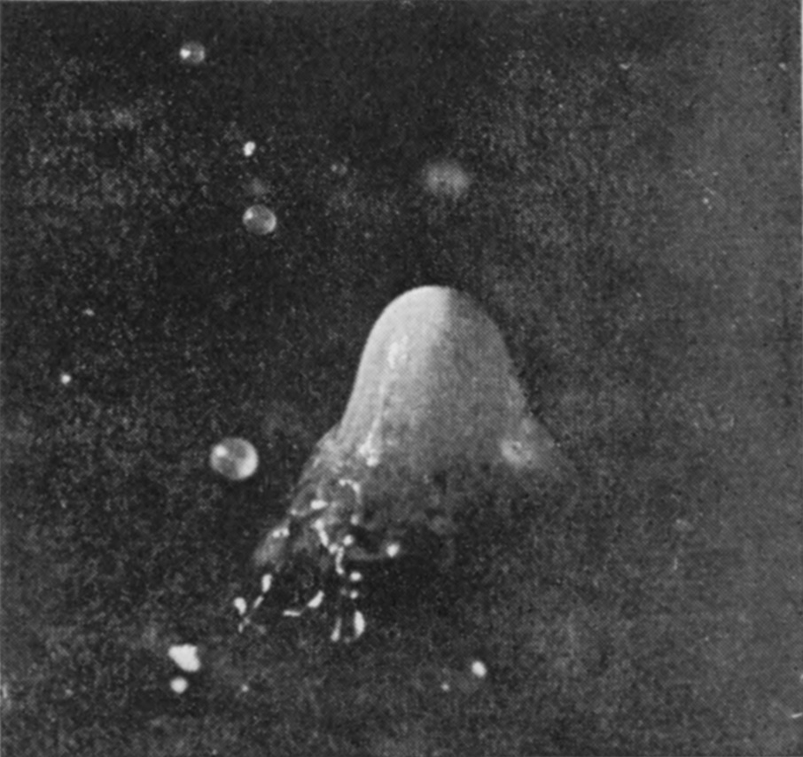 10 b 0·111 sec. — The bubble has completely retreated, and the column stands alone with the milk-drop as its cloudy rounded cap and a scatter of fragments at its foot.