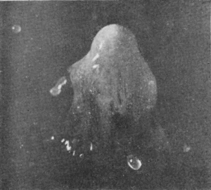13 0·113 sec. — The emergent column has already grown more symmetrical, with a rounded top, a ragged skirt, and a few drops trailing from one side.