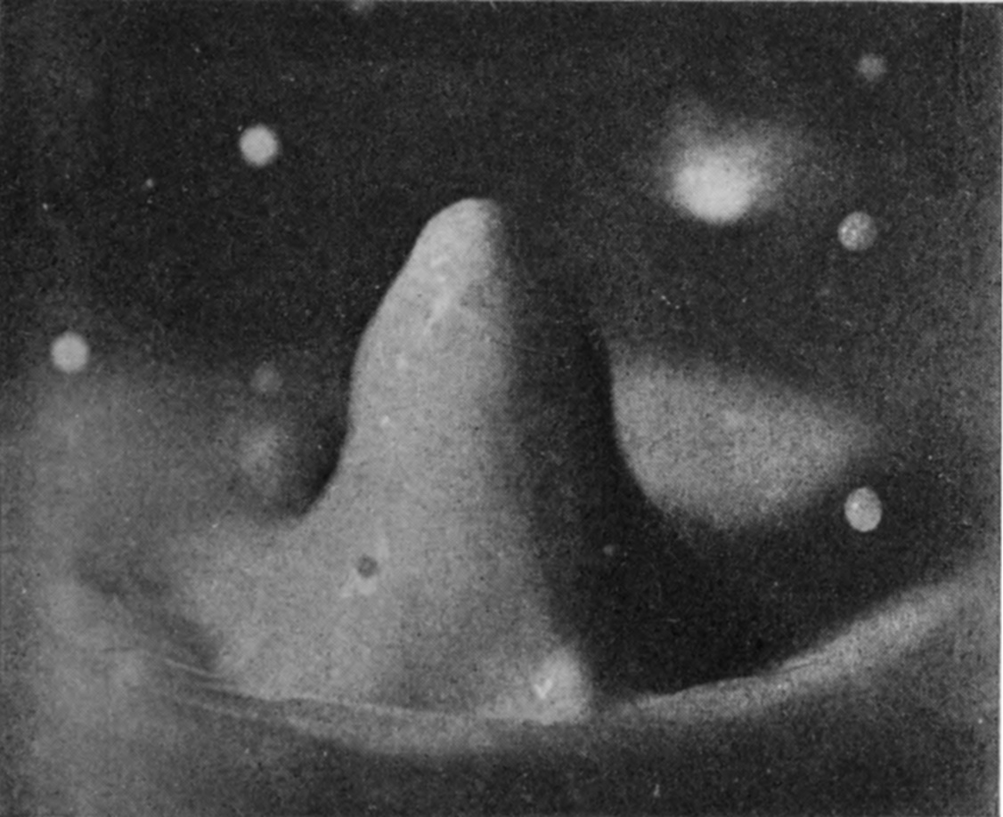 14 0·132 sec. — A thick rounded column rises from the milky water, leaning a little to the left, with no trace of the earlier irregularities.
