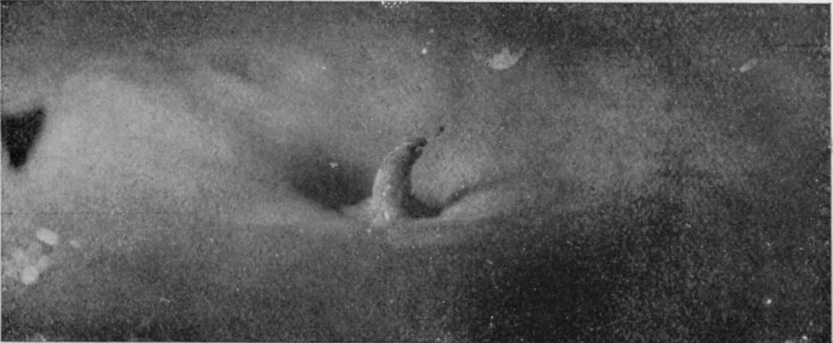 19 0·311 sec. — A small new column is rising from the middle of the shallow crater, its slender tip curled over to one side.