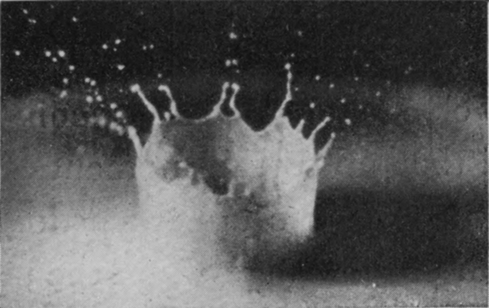 3 0·016 sec. — The crater has risen into a tall crown with a rope-like thickened rim, its arms tipped with drops and a spray of droplets flung outward.