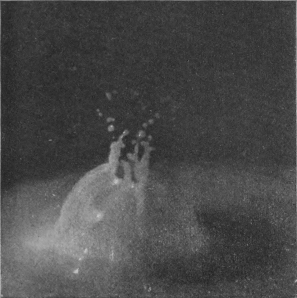 9 0·040 sec. — The bubble has opened at an early stage, and short upright arms rise from the edge of the opening at its top, with drops breaking away above.