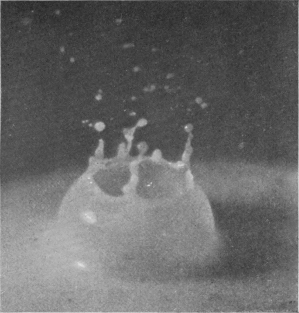 10 0·046 sec. — The top of the bubble is opening in two large holes, and the arms around the edge stand upright, each tipped with a drop.