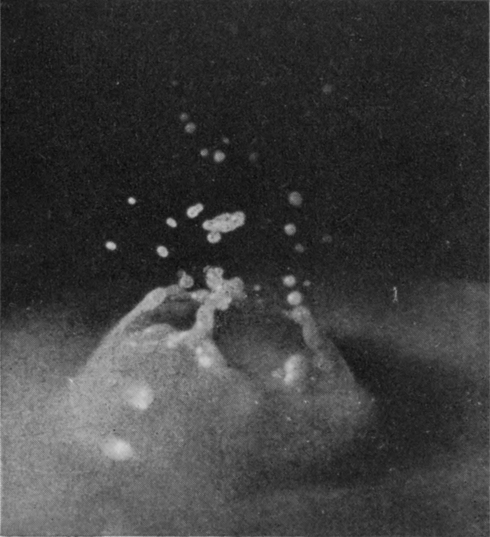 11 0·070 sec. — The edge of the opened bubble has retreated outward and downward, leaving its arms behind, sloping inward to a tangle in the middle, with drops thrown upward.