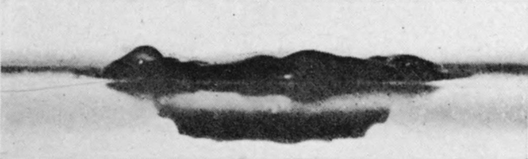 8 0·055 sec. — The crater has subsided into a low uneven mound on the surface, and the cavity beneath has collapsed into a shallow, flattened hollow.